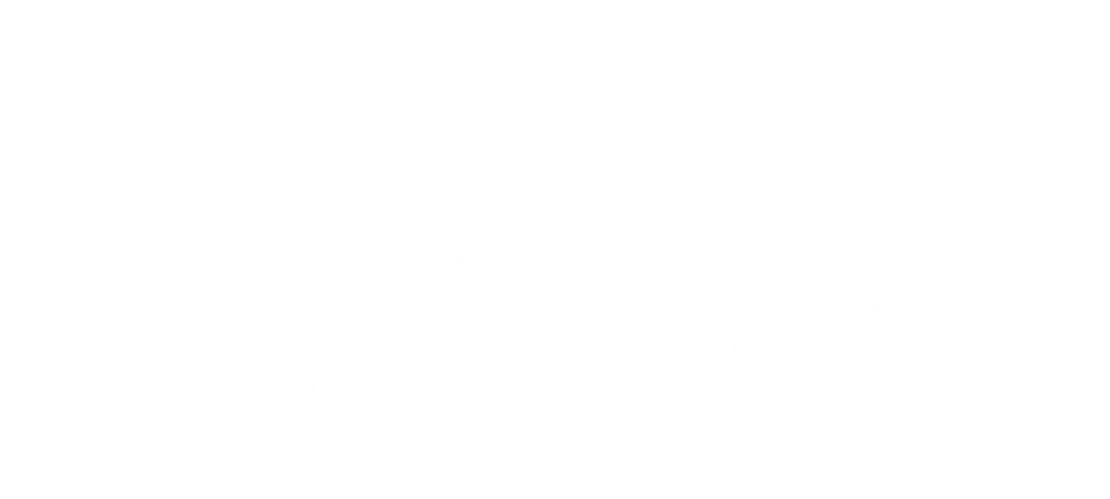visionary alignment logo white